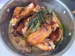 -蝶舍·MAISON PAPILLON