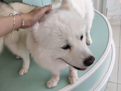 -怪兽屋·羊驼·猫咖·狗咖(俊华广场店)