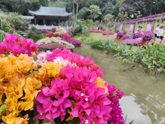 -广州市白云山风景名胜区