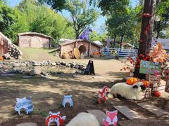 -HERRE·FARM 赫尔露营农场·团建聚会包场