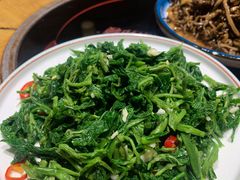 凉拌桑芽菜-顺意会馆(南门店)