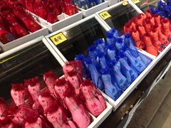 -猫咪博物馆(顶澳仔猫街店)