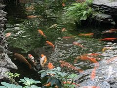 -广州白天鹅宾馆