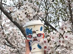 -Beans Solo豆号咖啡(百家湖花园店)