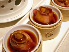 -点都德·毕德寮