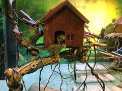 -华夏文旅海洋公园