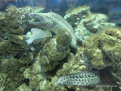 -大连老虎滩海洋公园