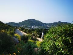 -枸杞岛