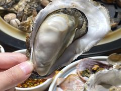 -77号渔船·蒸海鲜青岛菜(积米崖店)