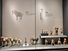 -贵州省博物馆(新馆)