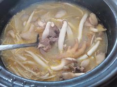 -15年老字号鑫鑫猪肚鸡·椰子鸡海南火锅(兴隆华侨农场店)