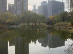 -木塔寺遗址生态公园