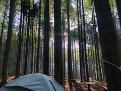 -山王坪喀斯特国家生态公园