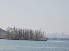 -东湖落雁景区