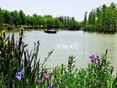 -上海长兴岛郊野公园