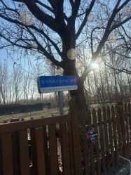 -醉库庄园·宴会厅·草坪婚礼场地