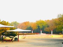 -朝阳公园游乐园