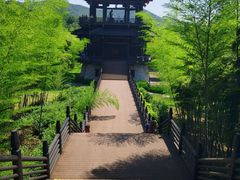 -大唐贡茶院