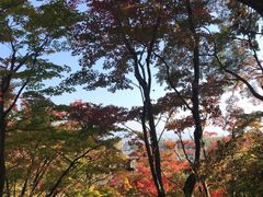 -常寂光寺