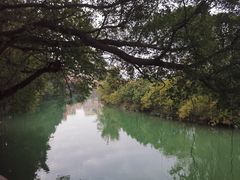 -小洲村