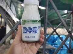 -清真·塔西一号·青年宫王胖子烧烤涮牛肚(创始人店)