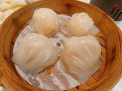 -金河半岛园林酒家(金融城店)