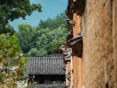 -杨家堂村