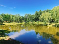 -东郊湿地公园