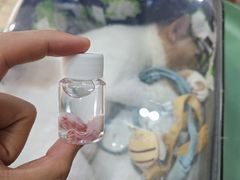 -拜鲁耶动物诊疗中心·宠家动物医院