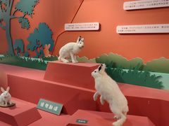 -浙江自然博物院(杭州馆)
