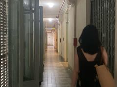 -胡志明市美术馆
