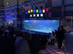 -泉城欧乐堡海洋极地世界