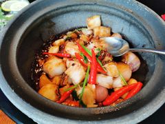 -映水芙蓉(上海万象城店)