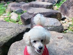 -上海月湖雕塑公园