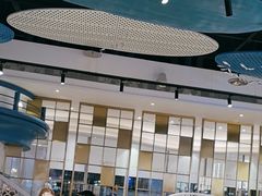-半岛听涛蒸汽海鲜自助(K11店)