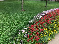 -西安电影制片厂