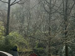 -青城山