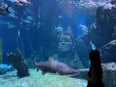 -暹罗海洋世界
