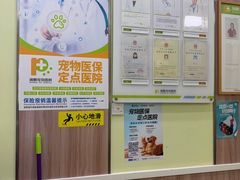 -瑞鹏宠物医院·宠保定点·心脏科·内科(御桥分院)