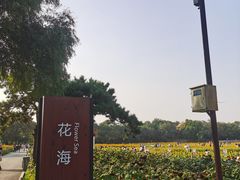 -北陵公园