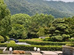 -逸廊大堂吧-下午茶·简餐-千岛湖自由洲际殿
