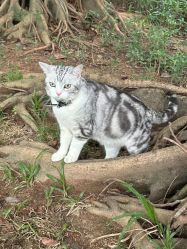 -纷尼探险鸭·亲子户外剧本杀(天河公园店)