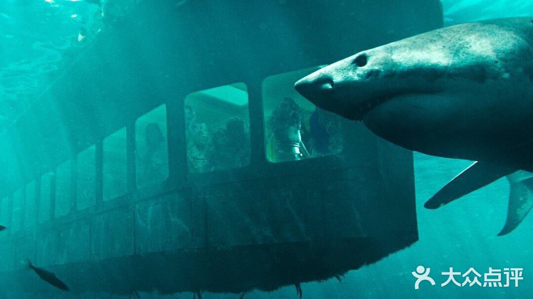 《鲨海逃生》在几个海底秘道中寻找出口的戏码