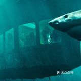 《鲨海逃生》在几个海底秘道中寻找出口的戏码