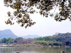 -河姆渡遗址博物馆