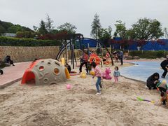 -铁山坪森林公园