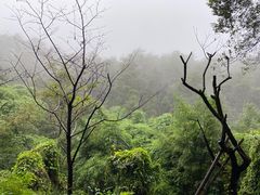 -重庆抗战遗址博物馆