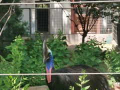 -天津市动物园