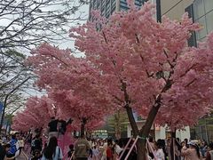 -东莞松山湖万象汇