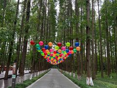 -黄海国家森林公园